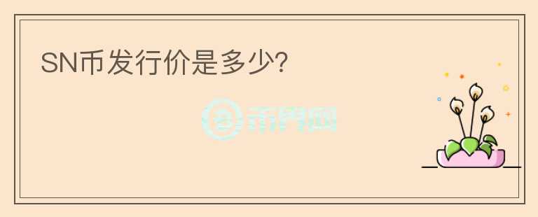 SN幣發(fā)行價(jià)是多少？