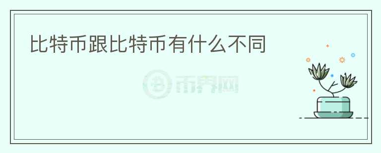 比特幣跟比特幣有什么不同