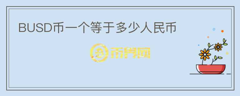 BUSD幣一個等于多少人民幣