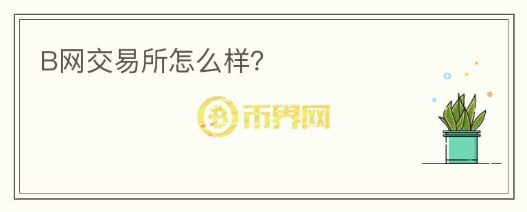 B網(wǎng)交易所怎么樣？