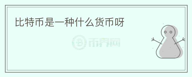 比特幣是一種什么貨幣呀