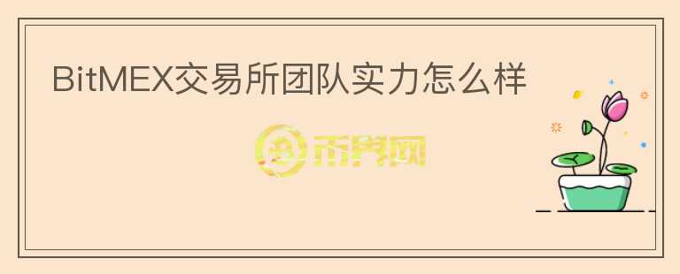 BitMEX交易所團(tuán)隊(duì)實(shí)力怎么樣