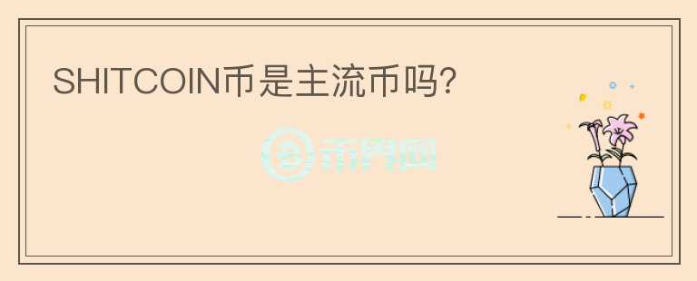 SHITCOIN幣是主流幣嗎？