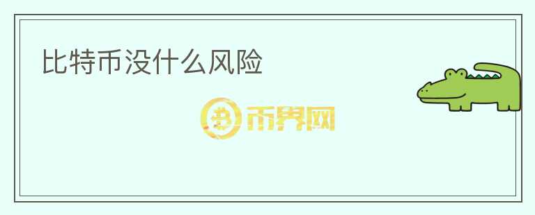 比特幣沒什么風(fēng)險(xiǎn)
