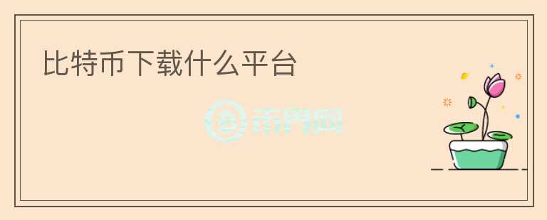 比特幣下載什么平臺