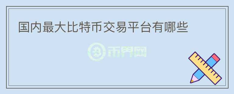 國內(nèi)最大比特幣交易平臺有哪些
