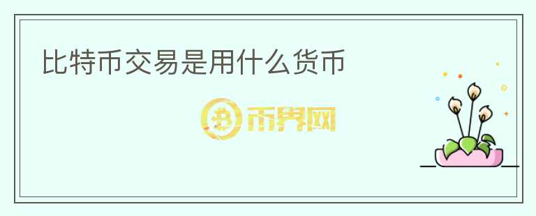比特幣交易是用什么貨幣