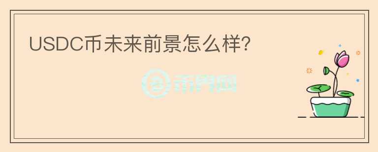 USDC幣未來前景怎么樣？