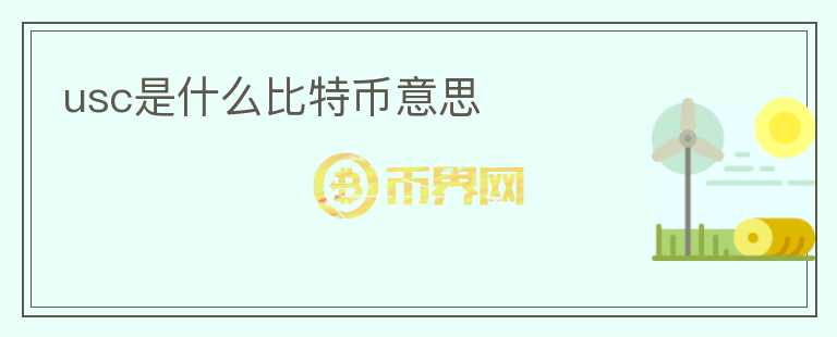 usc是什么比特幣意思