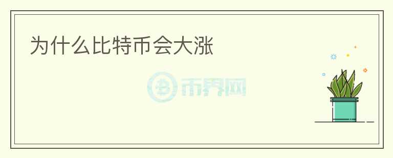 為什么比特幣會(huì)大漲