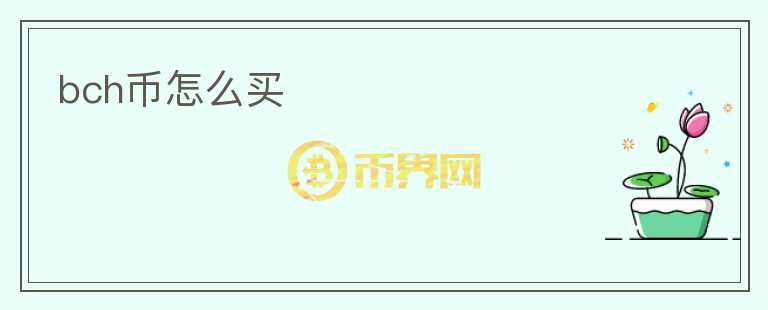 bch幣怎么買