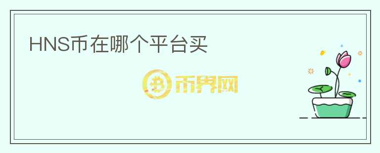 HNS幣在哪個平臺買