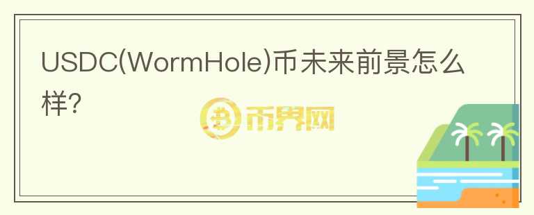 USDC(WormHole)幣未來前景怎么樣？