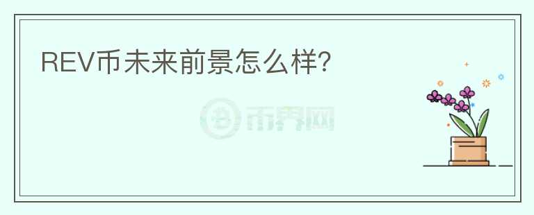 REV幣未來前景怎么樣？