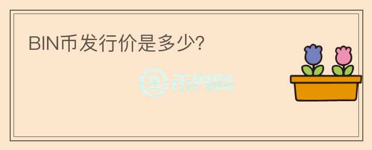 BIN幣發(fā)行價是多少？