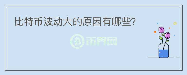 比特幣波動大的原因有哪些？