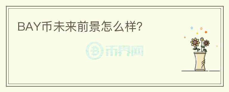 BAY幣未來前景怎么樣？