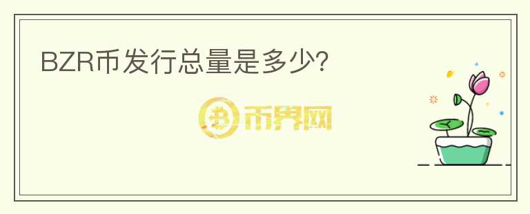 BZR幣發(fā)行總量是多少？
