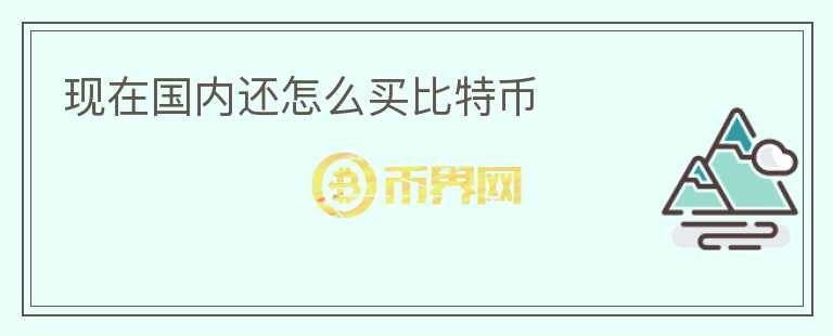 現(xiàn)在國內還怎么買比特幣