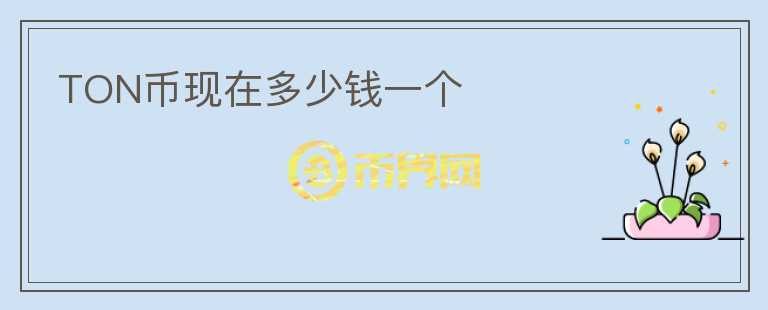 TON幣現(xiàn)在多少錢一個