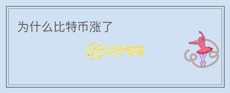 為什么比特幣漲了