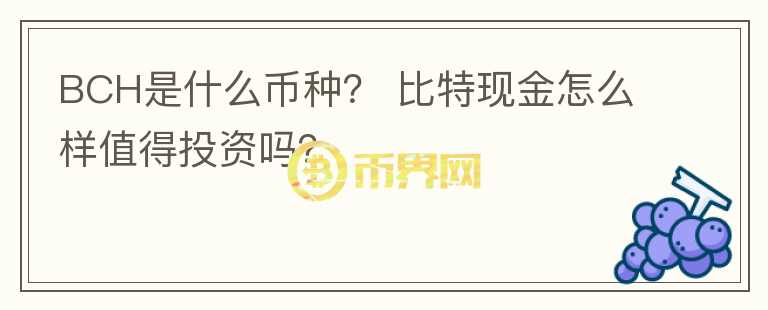 BCH是什么幣種？ 比特現(xiàn)金怎么樣值得投資嗎？