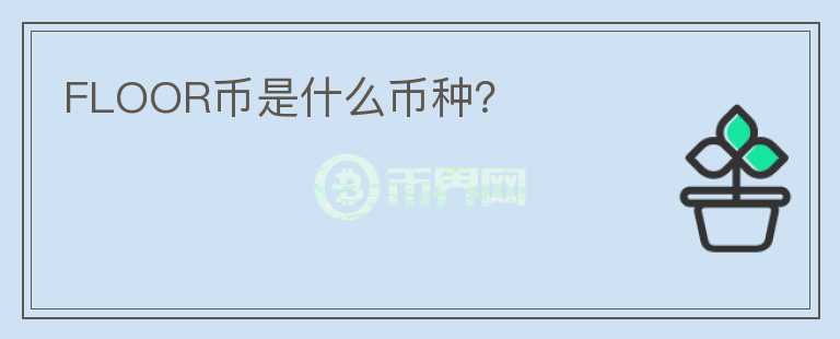 FLOOR幣是什么幣種？