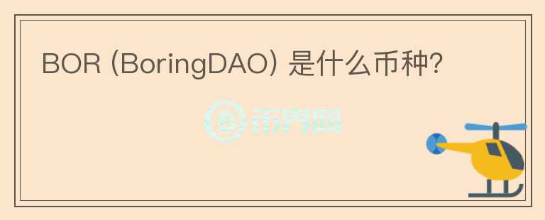 BOR (BoringDAO) 是什么幣種？