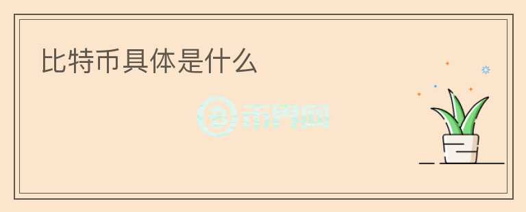 比特幣具體是什么