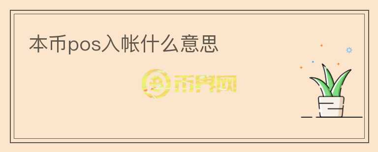 本幣pos入帳什么意思