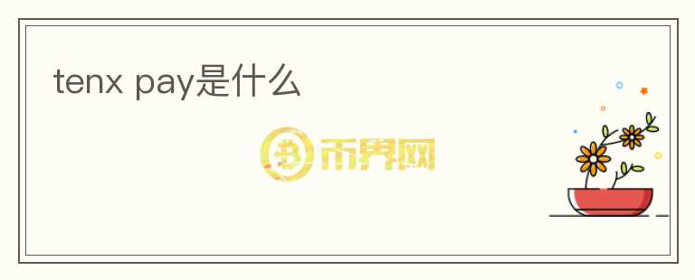 tenx pay是什么