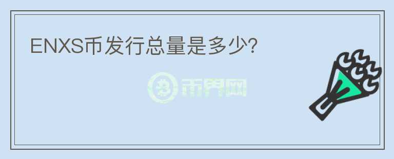 ENXS幣發(fā)行總量是多少？