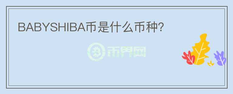 BABYSHIBA幣是什么幣種？