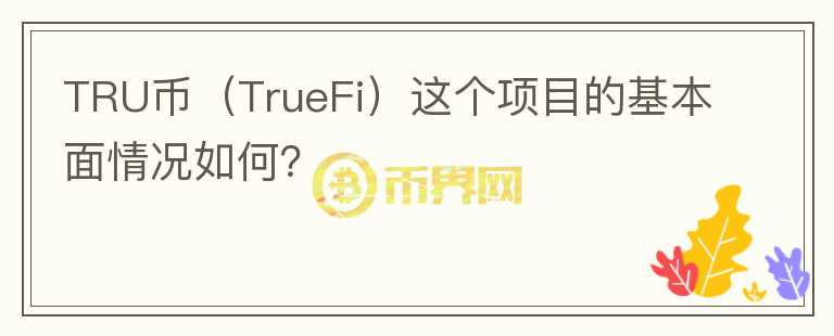 TRU幣（TrueFi）這個項目的基本面情況如何？