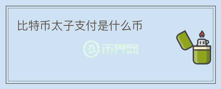 比特幣太子支付是什么幣