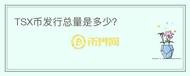 TSX幣發(fā)行總量是多少？