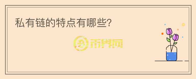 私有鏈的特點有哪些？
