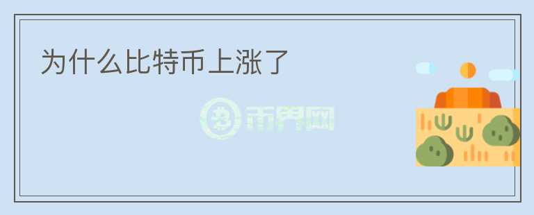 為什么比特幣上漲了