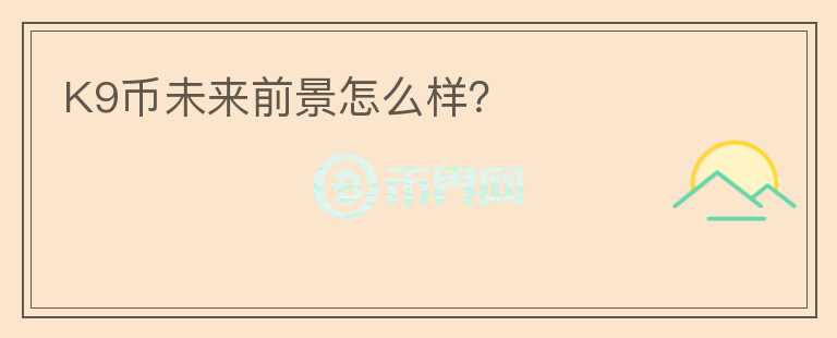 K9幣未來前景怎么樣？