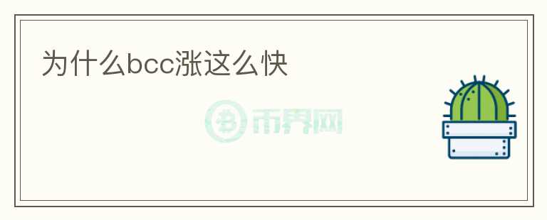 為什么bcc漲這么快