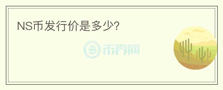 NS幣發(fā)行價是多少？