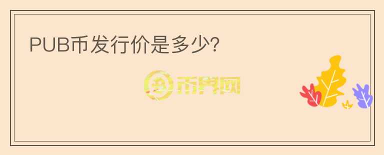 PUB幣發(fā)行價是多少？