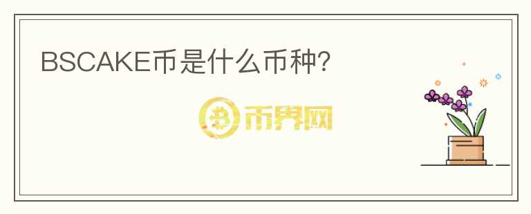 BSCAKE幣是什么幣種？
