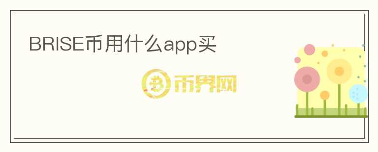 BRISE幣用什么app買(mǎi)