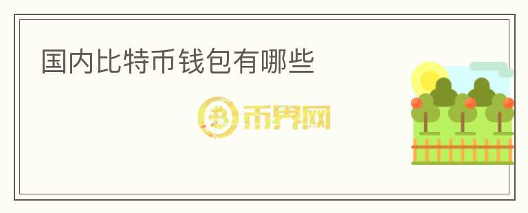 國內(nèi)比特幣錢包有哪些