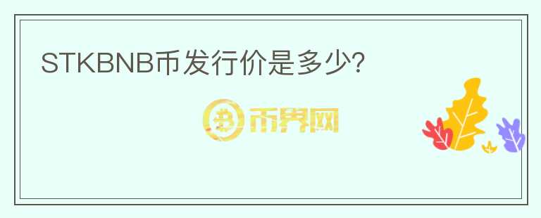 STKBNB幣發(fā)行價(jià)是多少？