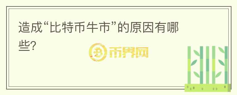 造成“比特幣牛市”的原因有哪些？