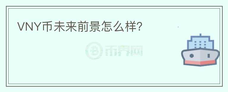 VNY幣未來前景怎么樣？