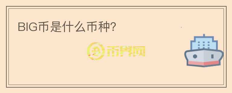 BIG幣是什么幣種？