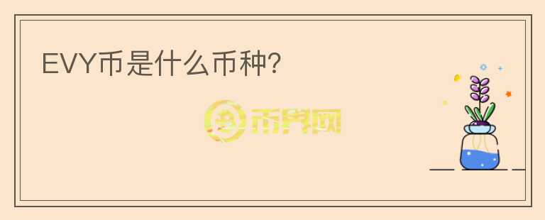 EVY幣是什么幣種？